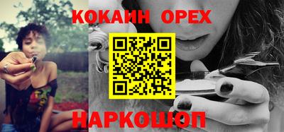 ГАЛЛЮЦИНОГЕННЫЕ ГРИБЫ Свободный