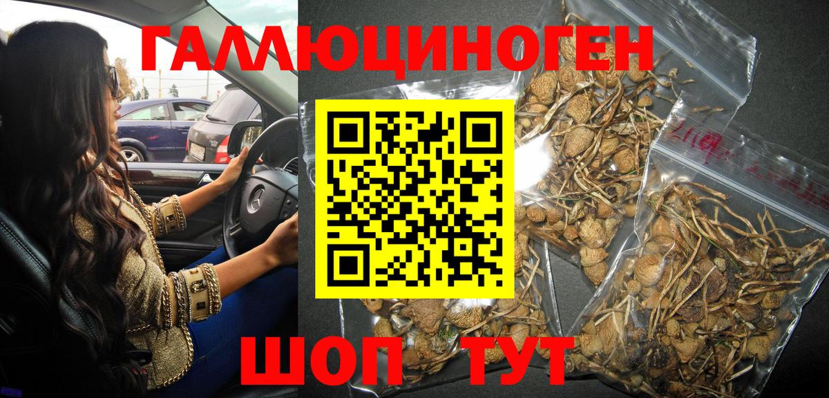 Галлюциногенные грибы Cubensis Муром