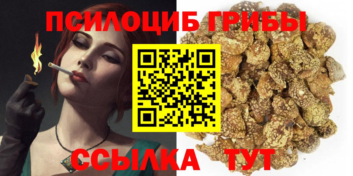 купить  цена  Вход с VPN  Муром  Псилоцибиновые грибы Psilocybine cubensis 